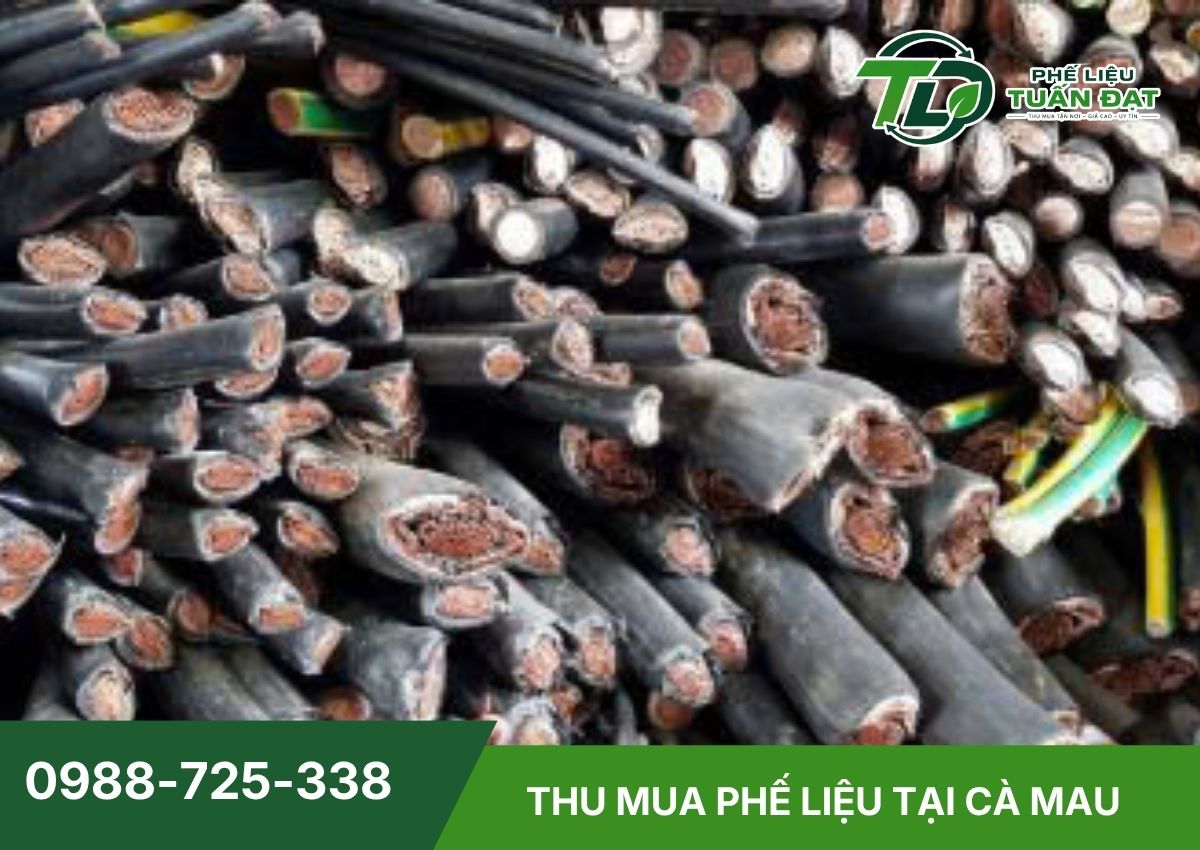 Các loại phế liệu Tuấn Đạt thu mua tại Cà Mau