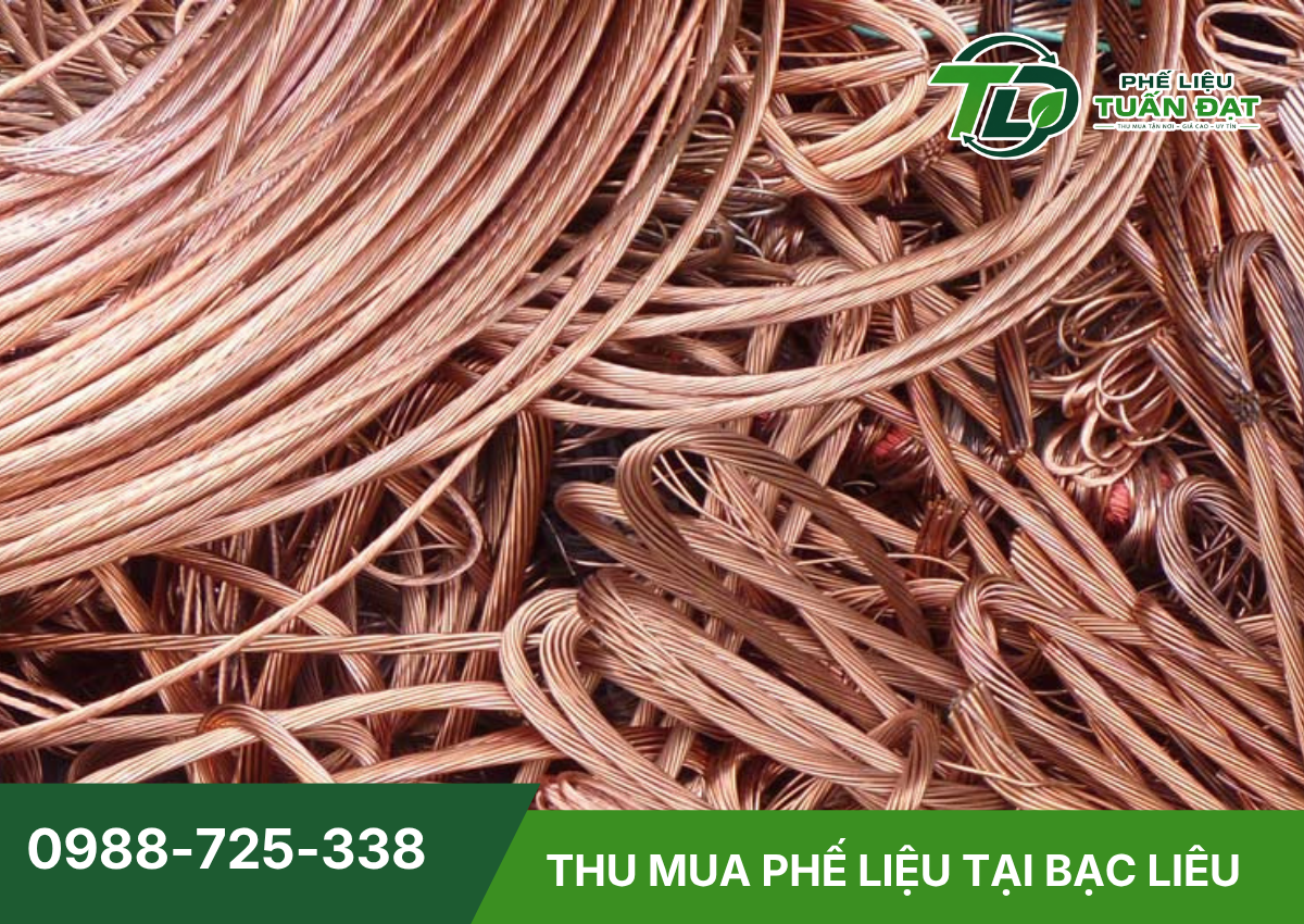 Các loại phế liệu Phế Liệu Tuấn Đạt nhận thu mua tại Bạc Liêu